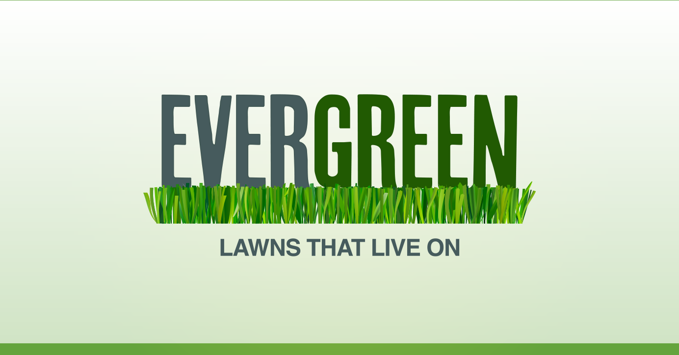quote-example-lawn-mowing-quote-template